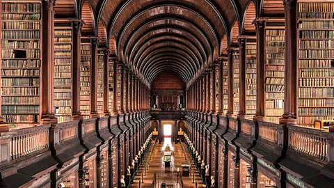 东契奇抵达洛杉矶，福克斯和文班亚马并肩而至