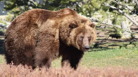 若塔再续进球神迹，马内赛季首球助攻助力利物浦2-0伯恩利